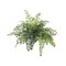 12-Pack: 15" Maidenhair Fern Bush with Lifelike Fronds by Floral Home®